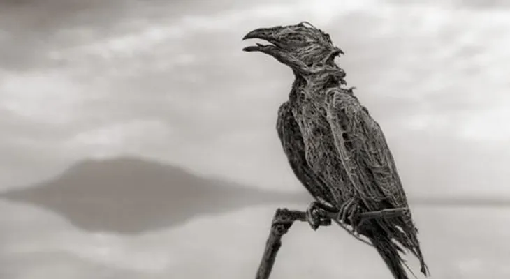 'Lago de la muerte' convierte a los animales en estatuas