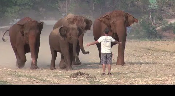 Un hombre grita en mitad de la selva, y lo que sucede te sorprenderá... (VIDEO)