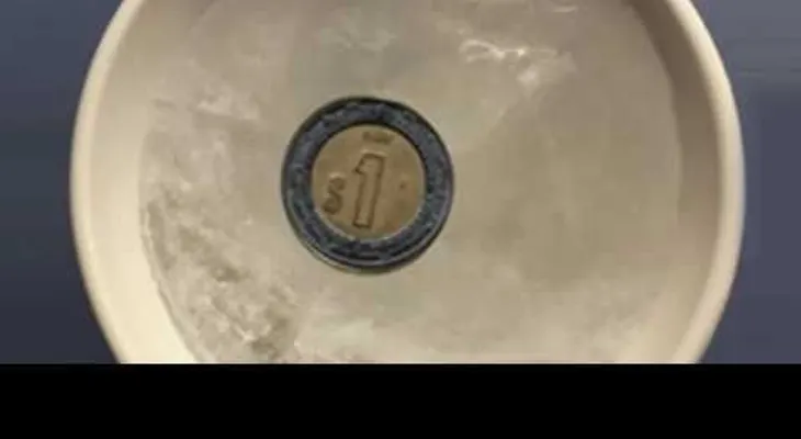 Coloca una moneda en el congelador por una razón sorprendente (VIDEO)