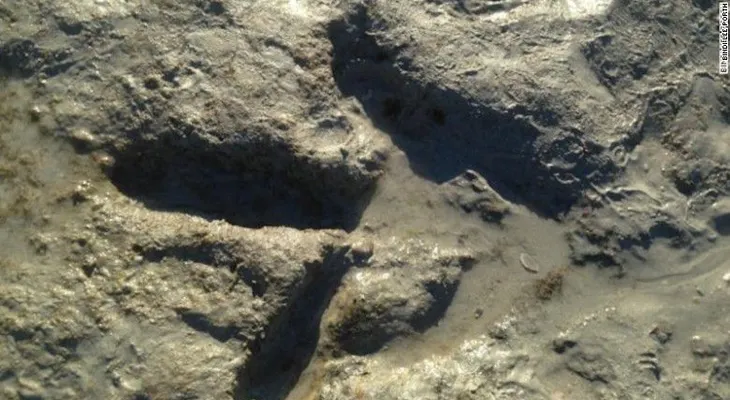 Bañista encuentra en la playa huellas de dinosaurio de 130 millones de años