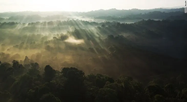 La razón por la que cada vez más turistas van a la Península de Osa en Costa Rica