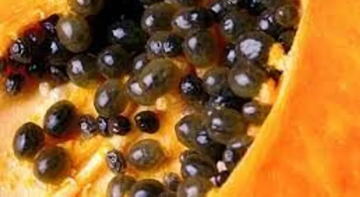 La semilla de lechosa, porque no me lo dijeron antes. Protege los riñones, elimina las amebas y expulsa lombrises