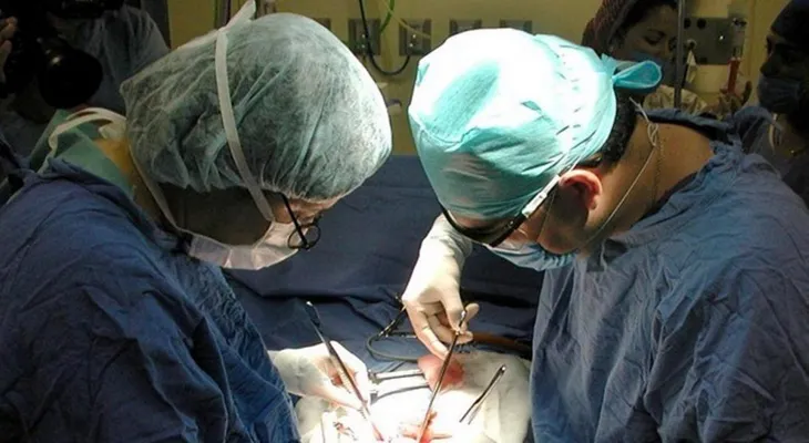 Cientos pacientes han muertos por negligencia en hospitales NYC