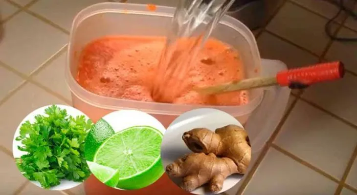 Subí mi defensa y eliminé la anemia con este poderoso batido 