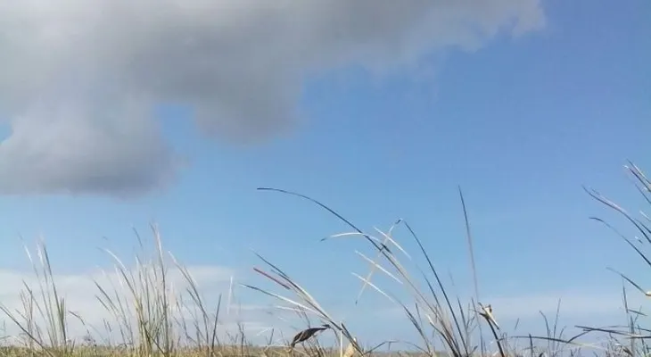 Medio Ambiente informa que extingue   fuego forestal en Laguna Saladillo en Dajabòn 