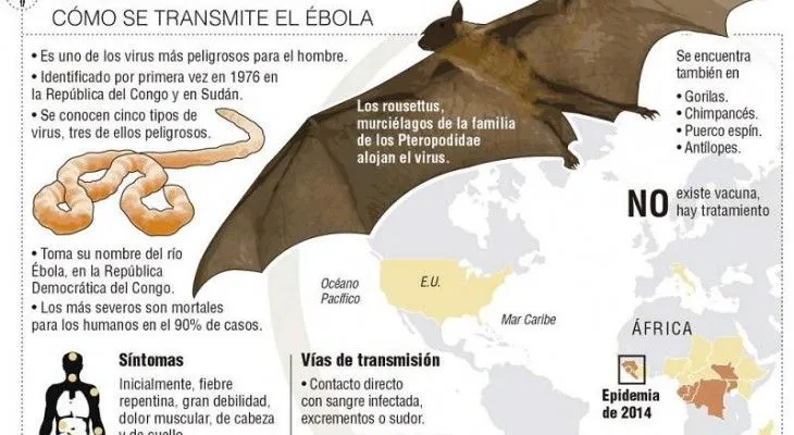 ¿Cómo se contagia el ébola?