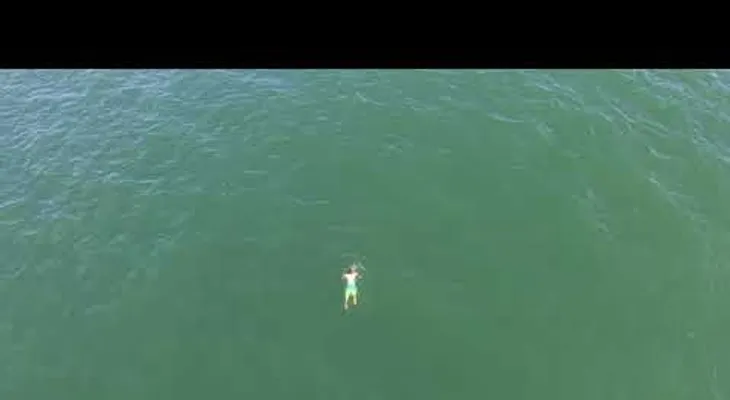 Huye de la Policía, salta al mar y se encuentra con un tiburón