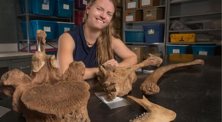 Norteamérica fue habitada 1.500 años antes de lo que se creía
