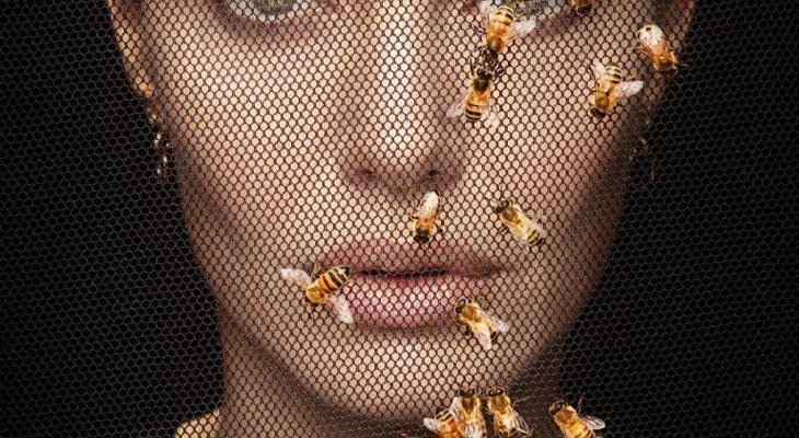 Angelina Jolie y su asombroso nivel de estudios alcanzado
