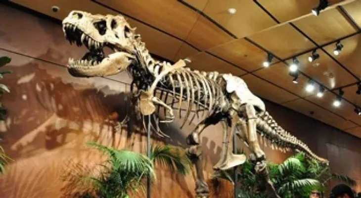 La "mala suerte" causó la extinción de los dinosaurios