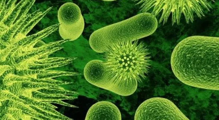 Amebiasis: síntomas y prevención de la enfermedad; 5 remedios caseros