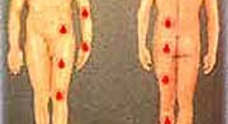 Enfermedades de los distintos aparatos del cuerpo humano