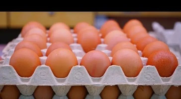 Nilda Bastos: Cuídate y conoce síntomas de la salmonelosis (VIDEO DEL TEMA)