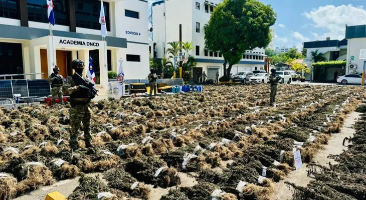 Dirección Nacional de Control de Drogas desmantela siembra de más de 15 mil plantas de marihuana