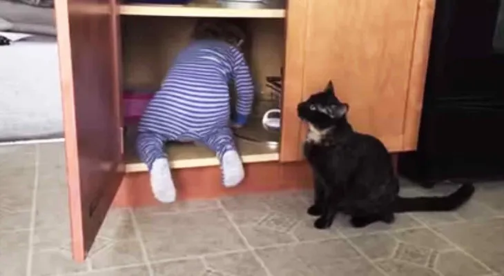 Un gato negro encierra bebé en un armario, siendo captado en cámara (Video)