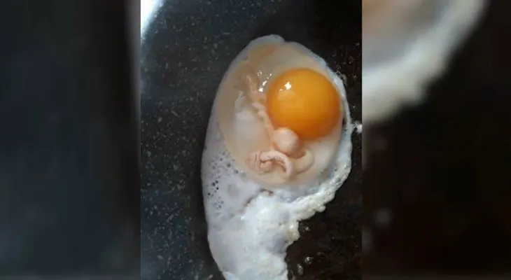 Rompe un huevo y se encuentra con desagradable sorpresa