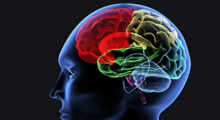 Claves para mantener el cerebro joven 