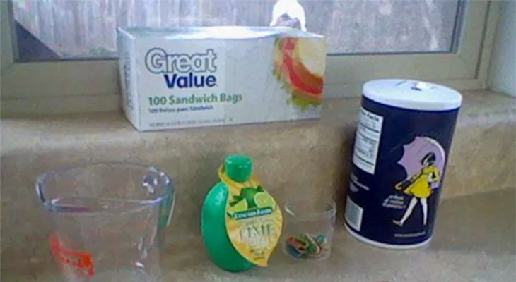 Ella deja monedas en una bolsa llena de agua en su garage? ¿La Razón es GENIAL!