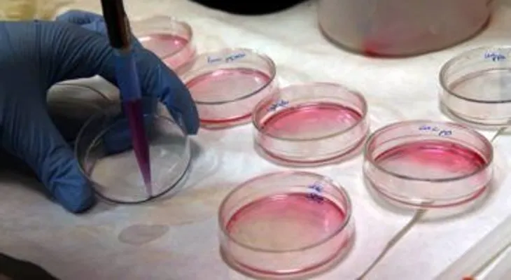 Científicos de Uruguay y EE.UU. prueban eficacia de droga contra la leucemia