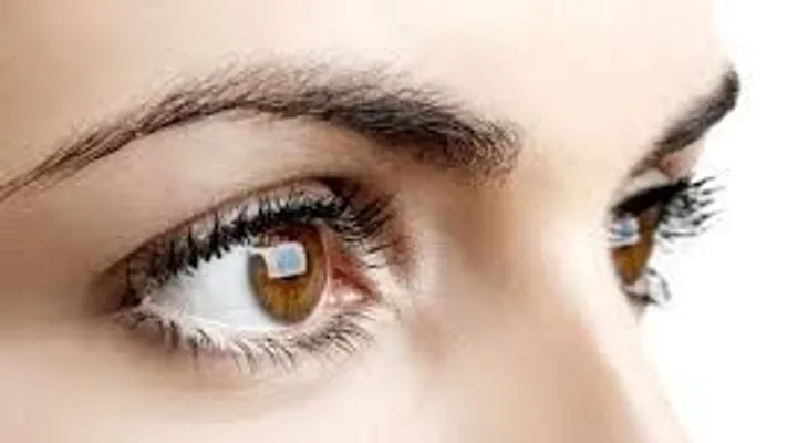 Descubren una mutación de un gen que causa la distrofia macular de la retina