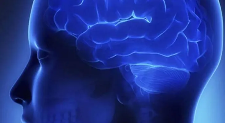 Una empresa quiere hacer copias de cerebros humanos, para que la persona pueda vivir para siempre 