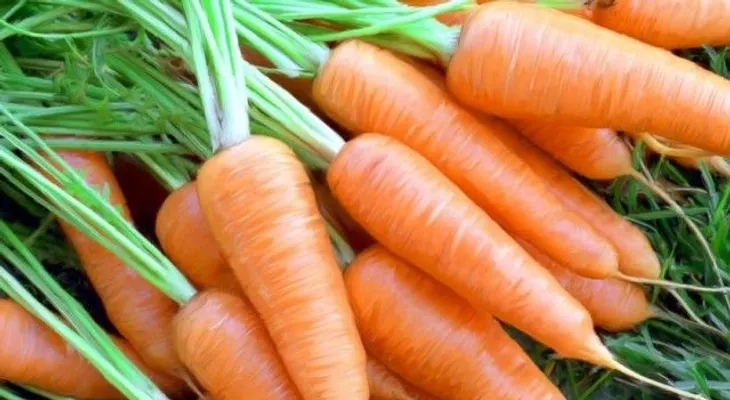 Conoce los beneficios de la zanahoria: Con tantas virtudes, no querrás que falte en tu dieta