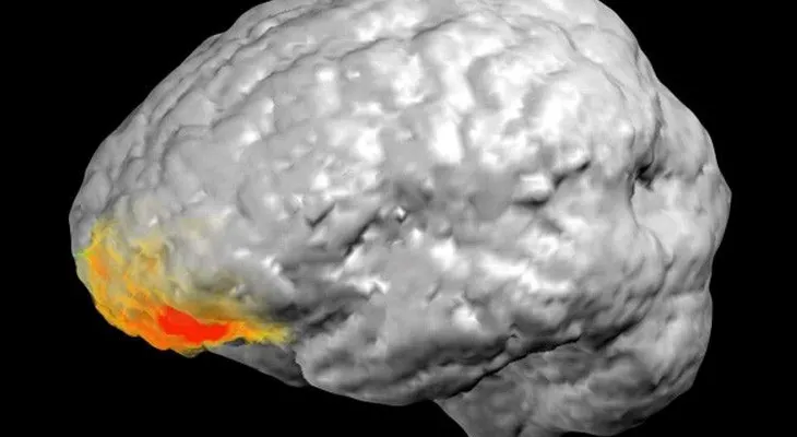 Médicos descubren cómo funciona el cerebro durante una revelación divina