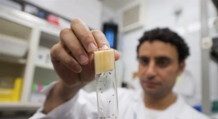 Recomiendan no hacer sexo o hacerlo seguro por el zika