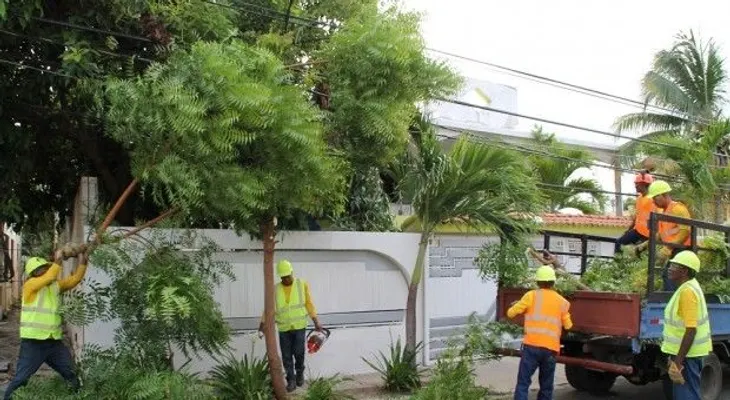 Ayuntamiento poda árboles en el DN por entrada en vigencia de temporada ciclónica