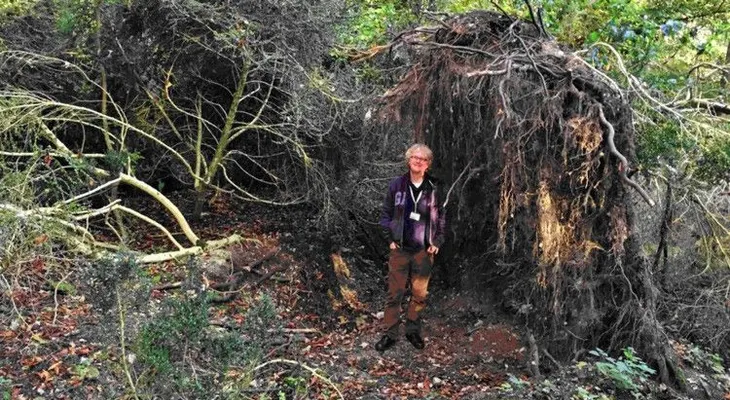 Hallan junto al Stonehenge una 'ecocasa' prehistórica más antigua que el monumento megalítico