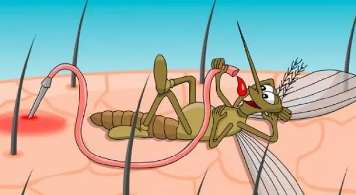 Por qué todos los mosquitos me pican a mí