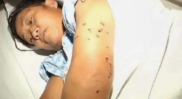 Una especie de avispa gigante mata 42 personas en china?..mira el video!!