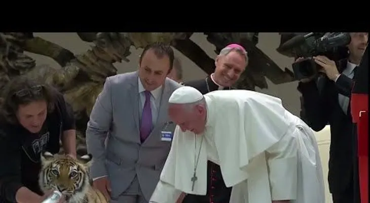 El papa Francisco le da ´´un susto de muerte´´, tras acariciar un cachorro de tigre (VIDEO)
