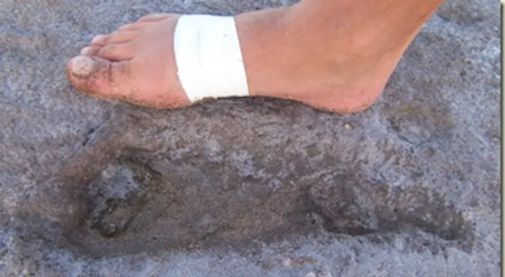 Hallan huellas humanas de hace 800.000 años