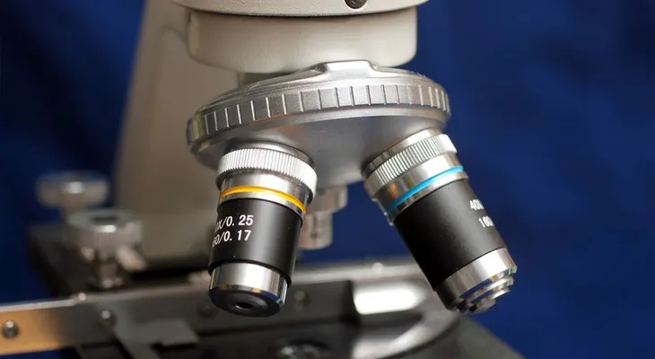  Identifican gen clave en respuesta inmunológica a infecciones y enfermedades 