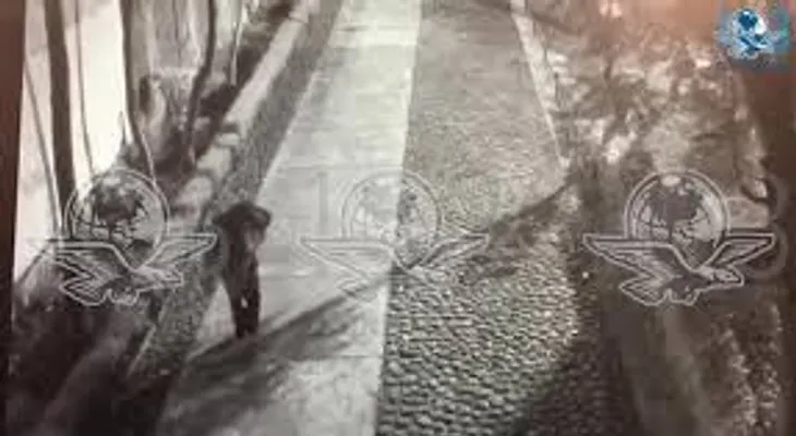 Captan al hombre que abandonó en la calle la maleta con la joven de 14 años que fue asesinada