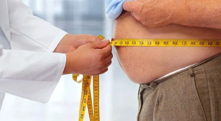Descubren una proteína que actúa como interruptor para almacenar o quemar la grasa