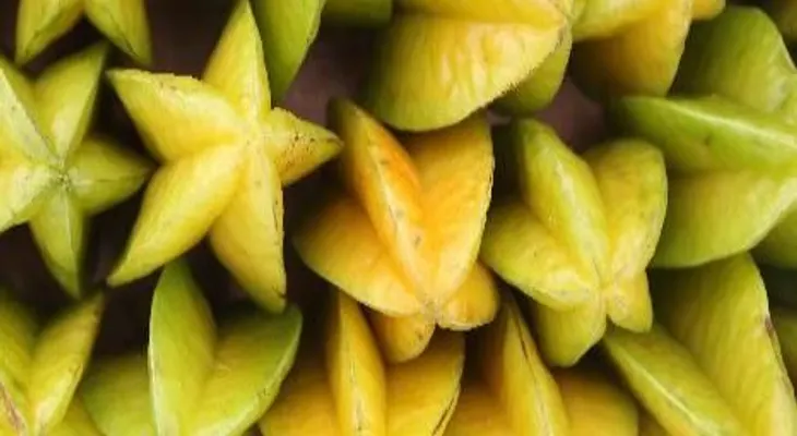 La carambola: Buena para dietas de adelgazamiento; posee propiedades laxantes 
