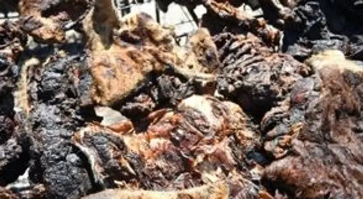 Uruguay bate el récord Guinness del asado más grande del mundo