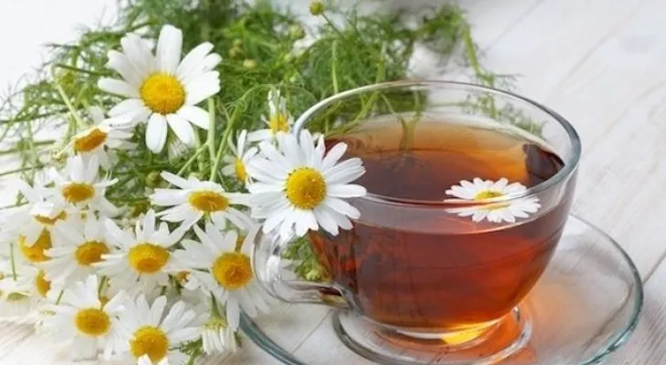 Imperdibles repelentes de insectos con ingredientes fáciles