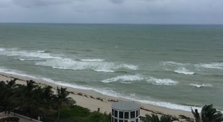 EN VIVO: Devastador huracán Matthew a Florida (VIDEO )