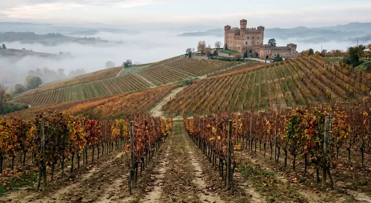 Subasta récord: USD 430.000 por 500 litros de Barolo que saldrá al mercado en 2029