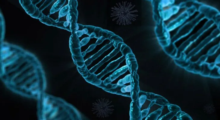 Las bacterias se convierten en una memoria portátil