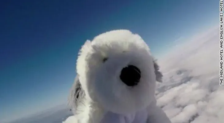 Buscando a Sam: niños de colegio quieren encontrar al perro de peluche que mandaron al espacio