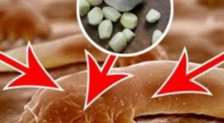 Remedio para eliminar los parasitos y la amebas