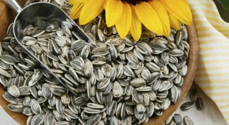 Bondades que desconocías de las semillas de girasol 