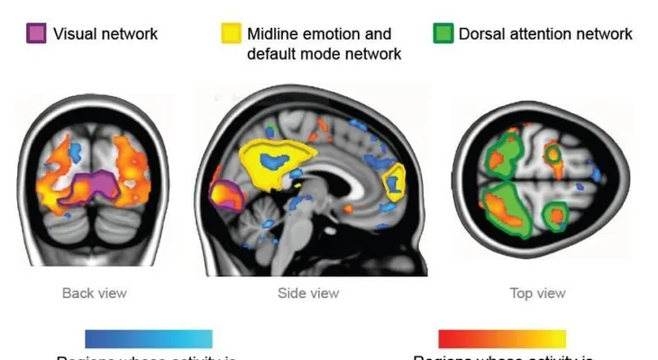Sentir emociones fuertes hace "sincronizar" los cerebros