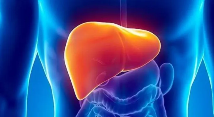Alimentos y sustancias nocivos para el hígado humano