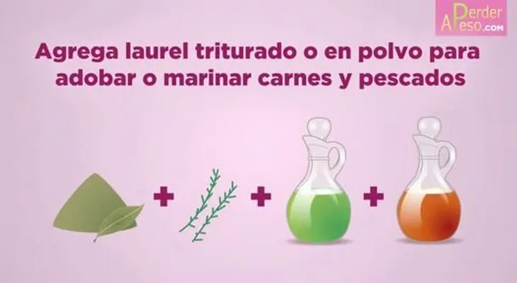 3 formas de usar el laurel para desintoxicar el organismo (Video)