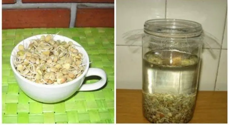 Conoce la bebida que te hace rejuvenecer por su alto y rico contenido en enzimas. ¡BUENISIMA!